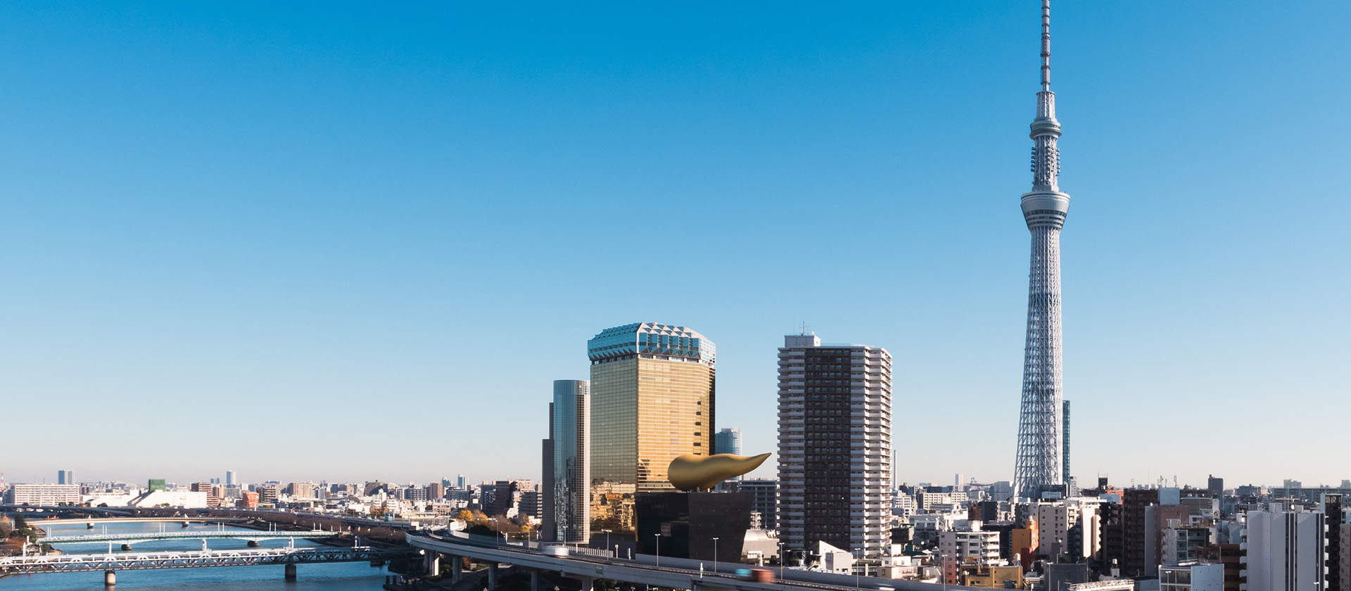 架け橋となり、未来を拓く。